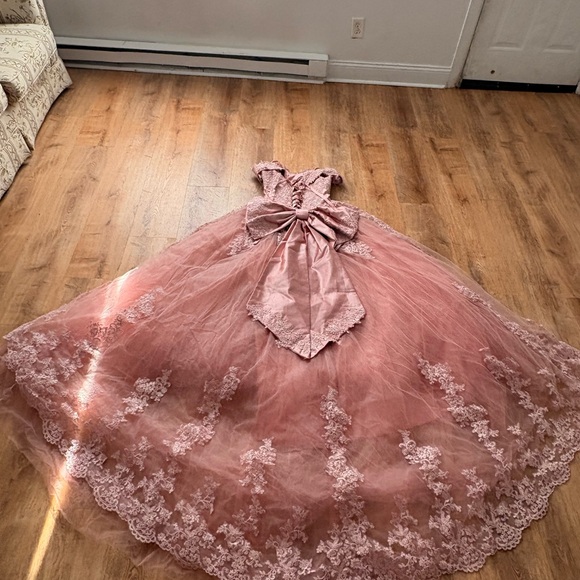 Amazon Dusty Rose Lace Tulle Ball Gown Dress with Bow - Picture 7 of 7
